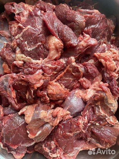 Мясо для собак