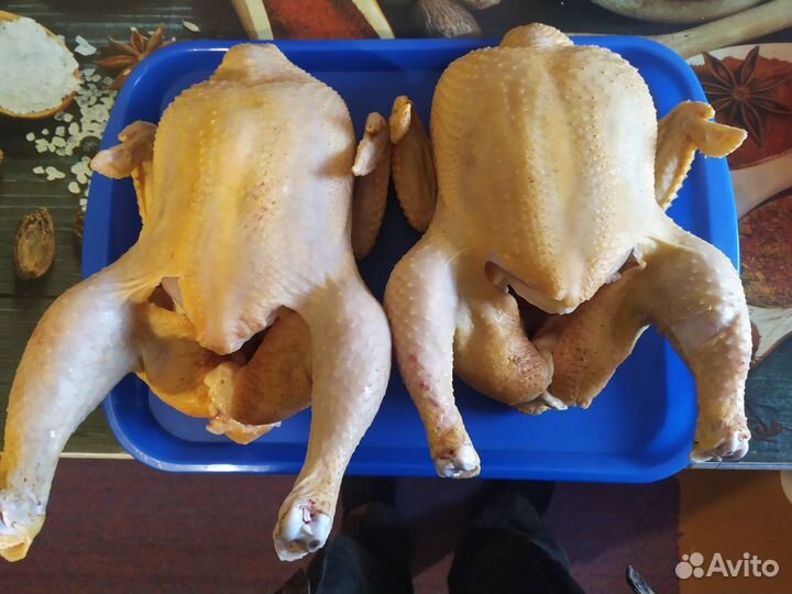 Мясо домашнего бройлера