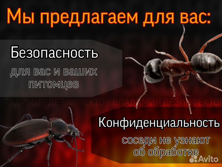 Уничтожение тараканов, клопов, запахов и растений