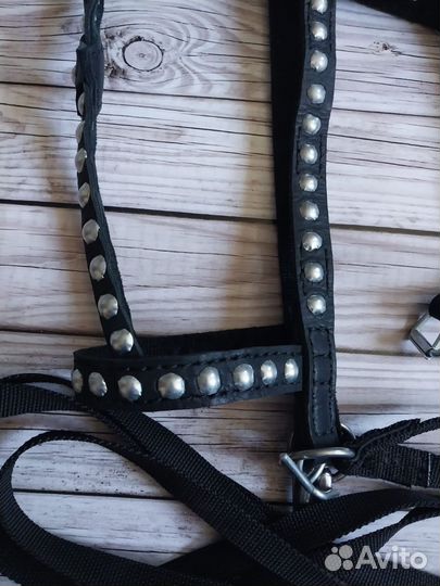 Уздечка для лошади