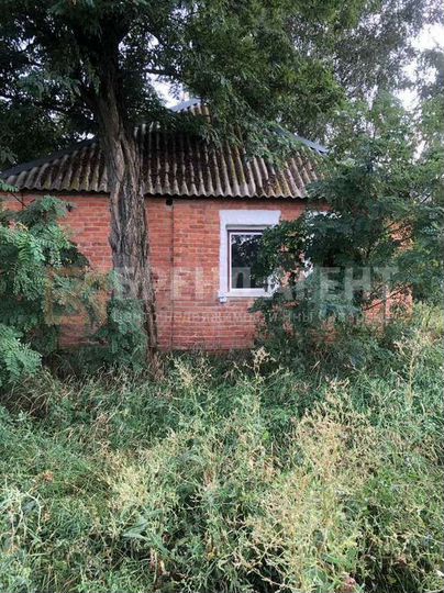 Участок 67 сот. (ИЖС)