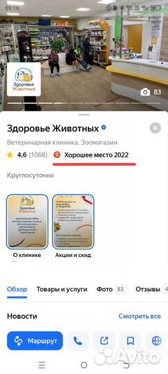 Ультразвуковая чистка зубов собаке и кошке