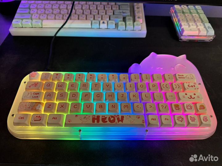 Продам кота