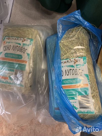 Сено для грызунов