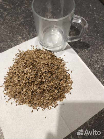 Семена укропа