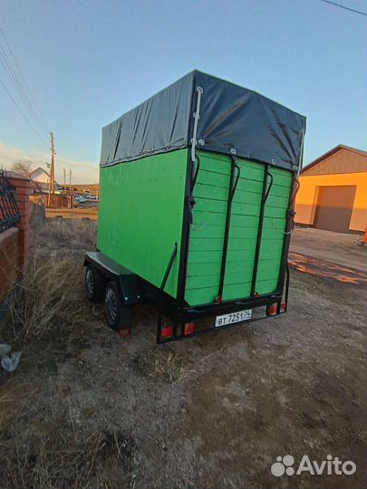 Скотовоз перевозка скота