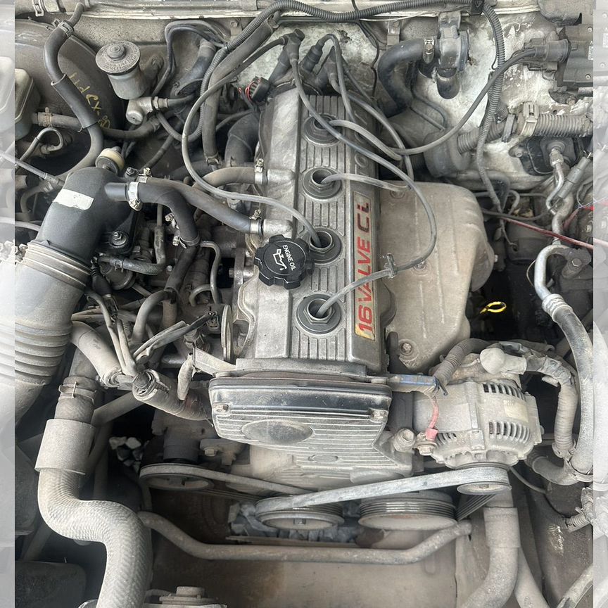 サン 楽天市場】ESS サングラス CDI MAX シーディーアイ マックス