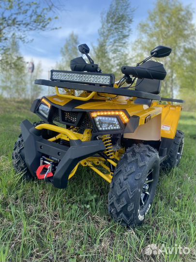 Квадроцикл Wild track X Pro 2023