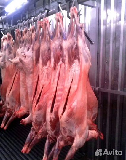 Баранина туша