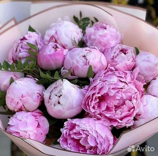 Пионы Букет пионов