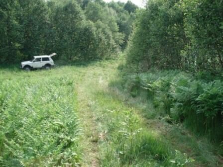 Участок 15 сот. (ИЖС)