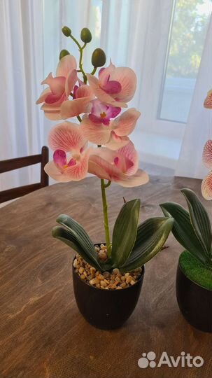 Орхидея искусственная