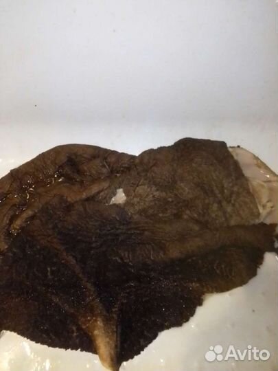 Еда собакам