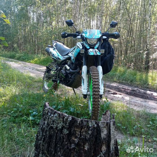 Racer Panther 300