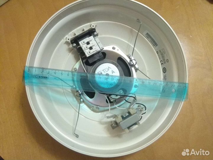 Динамик 100В