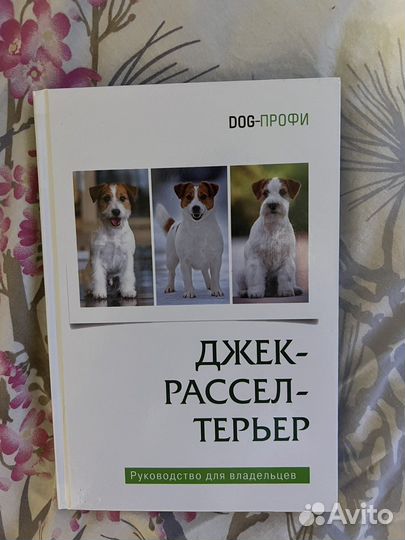 Книга про джек расселов