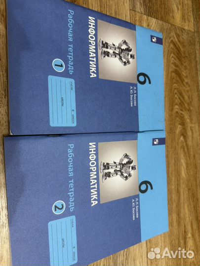 Рабочие тетради 6 класс