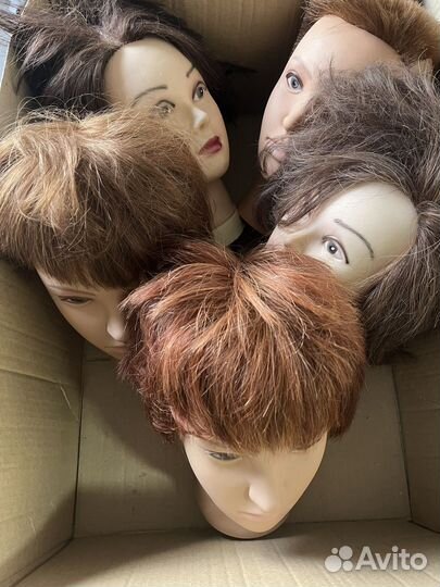 Учебная голова манекен