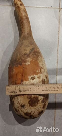 Тыква декоративная бутылка лагенария