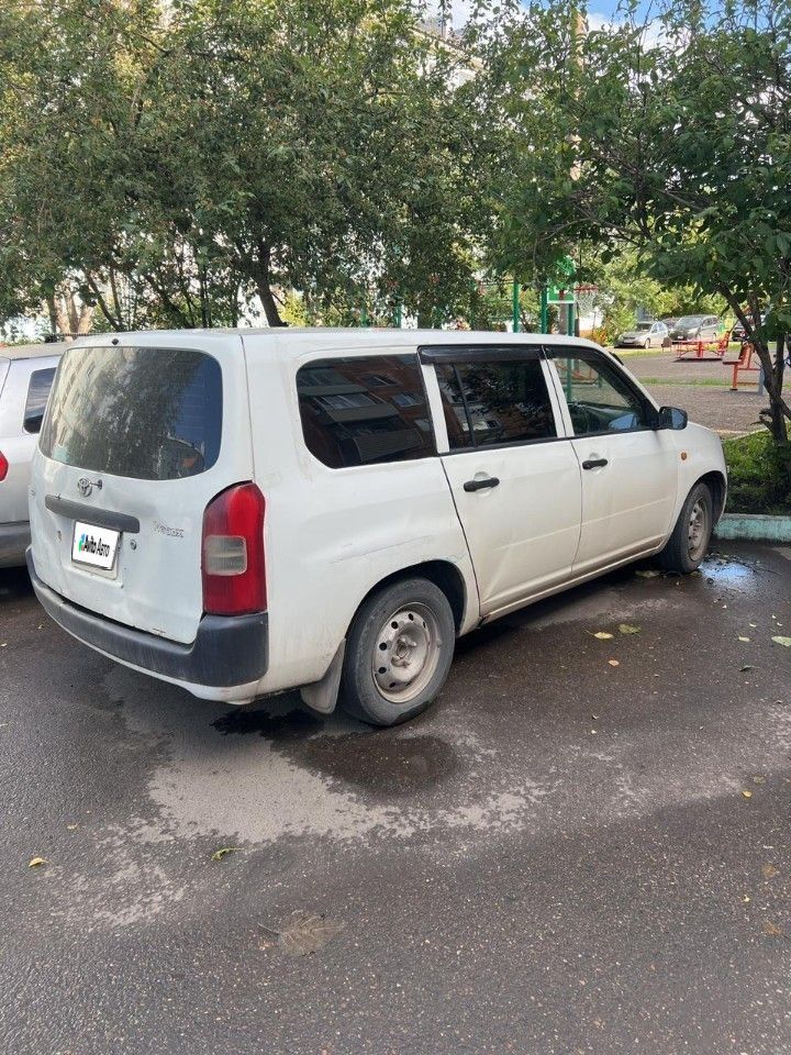 Toyota Probox: фото владельца