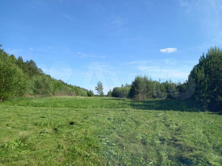 Участок 2 га (СНТ, ДНП)