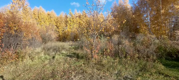 Участок 12 сот. (СНТ, ДНП)