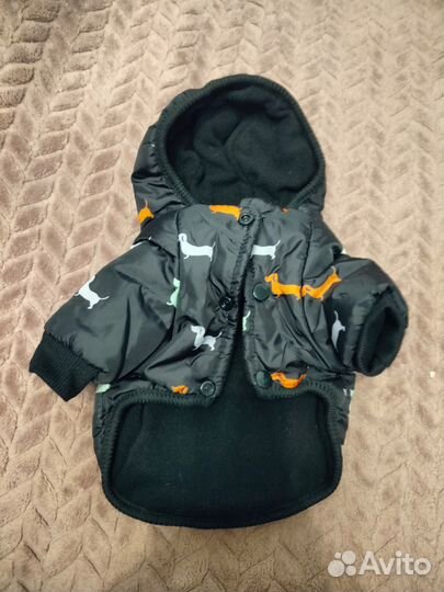 Одежда для собак