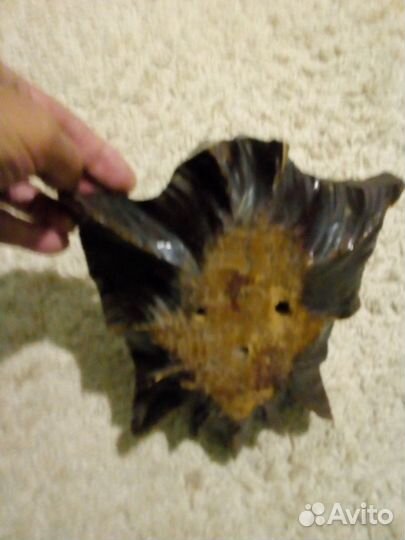 Рамка для рога