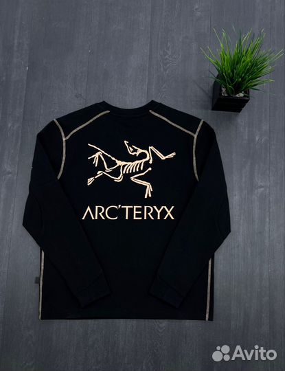 Свитшот Arcteryx