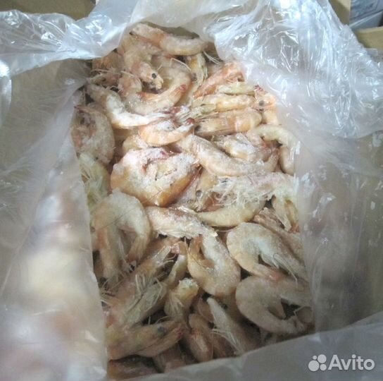 Креветка королевская 