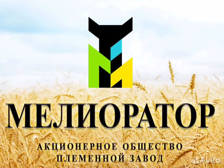 Тракторист-машинист сельскохозяйственного производ