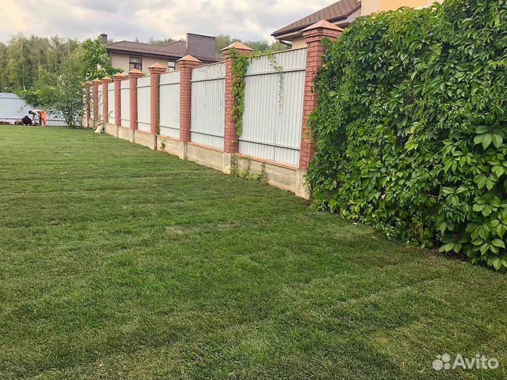 Укладка и продажа рулонного газона