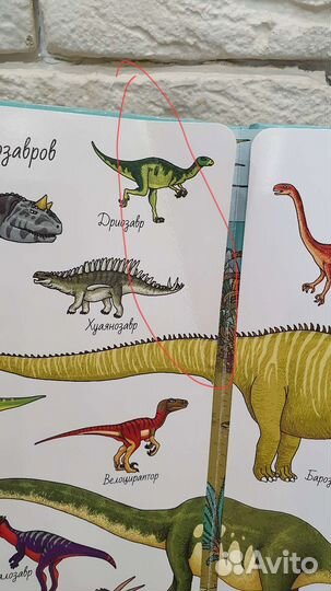 Книги-гляделки. Находилки. Виммельбухи