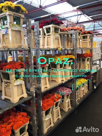 Цветы оптом розы