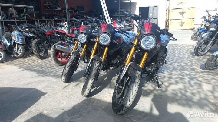 Cobra 250 новые