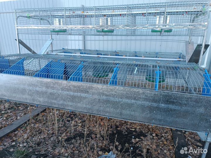 Клетки для кроликов промышленные маточные