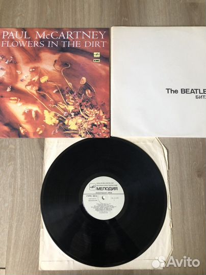 Виниловые пластинки