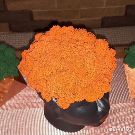 Кашпо декоративное, мох