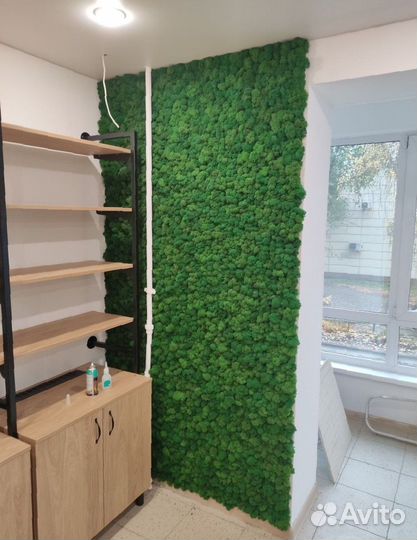 Панно. Декор. Стабилизированный мох