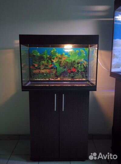 Аквариум 100 свет биофильтр фон подставка