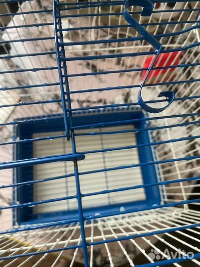 Клетка для грызунов попугаев