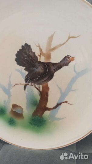 Настенная тарелка глухарь