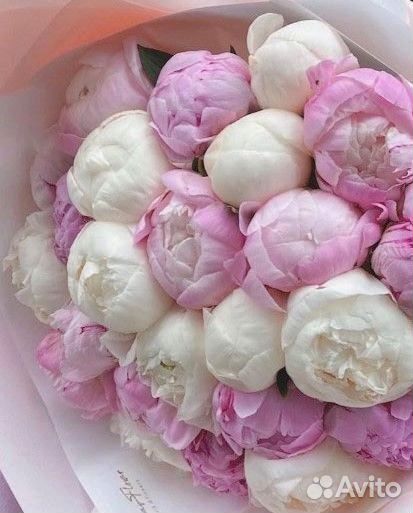 Доставка пионов