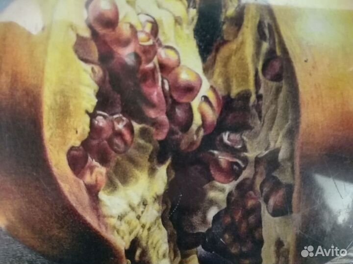 Цветные карандаши Lyra rembrandt polycolor