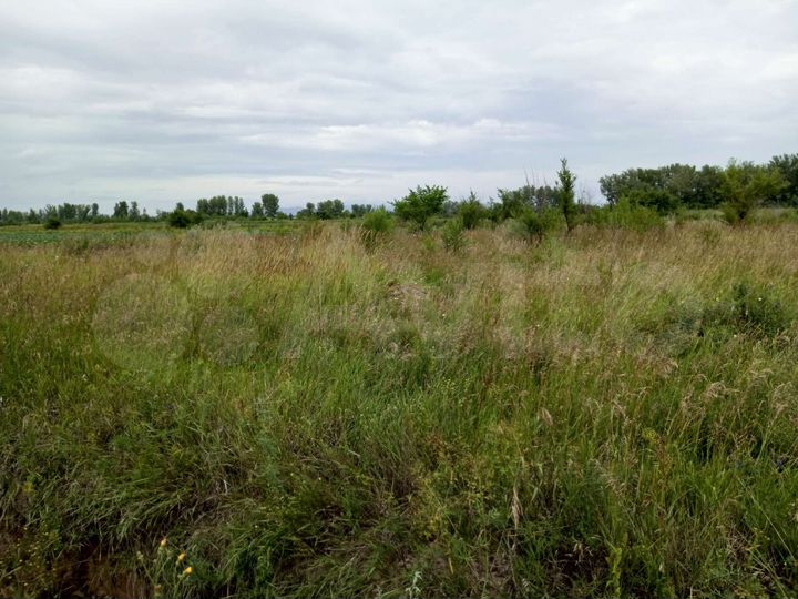 Участок 12,5 сот. (СНТ, ДНП)