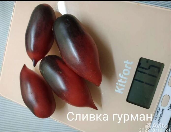 Семена коллекционных томатов