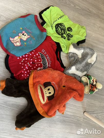 Вещи для маленьких собак