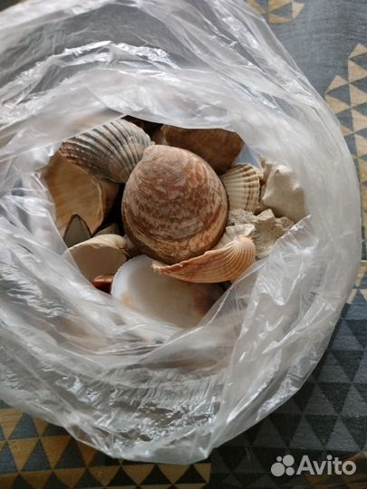 Принадлежности для аквариума