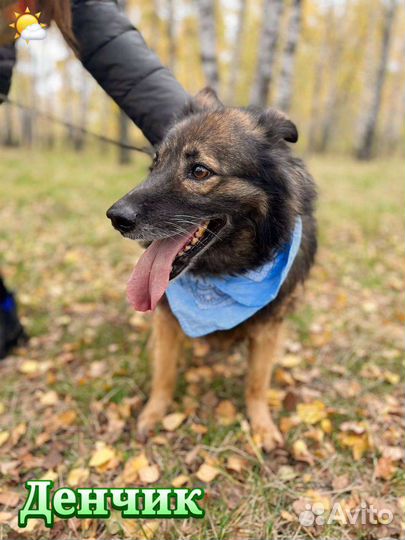 Жду тебя, человек