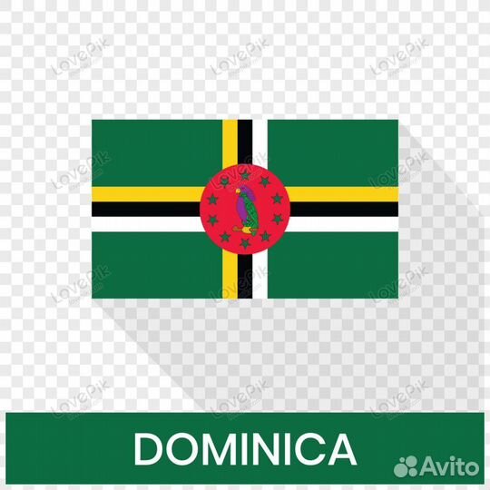 Цифровое гражданство Доминики